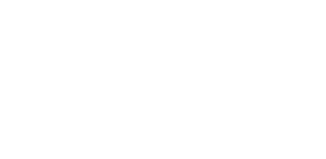 Fundacja_białe_poziom